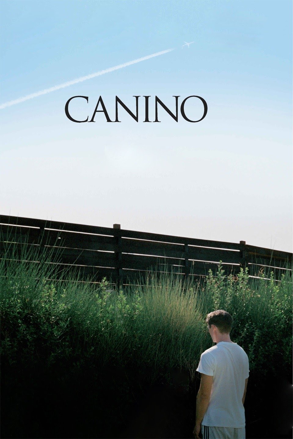 Canino (2009)